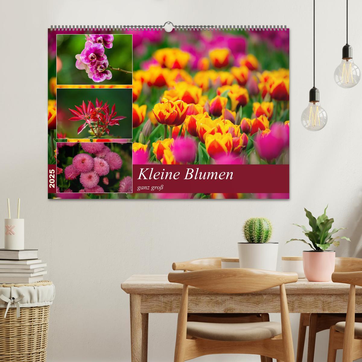 Bild: 9783435227495 | Kleine Blumen ganz groß (Wandkalender 2025 DIN A2 quer), CALVENDO...