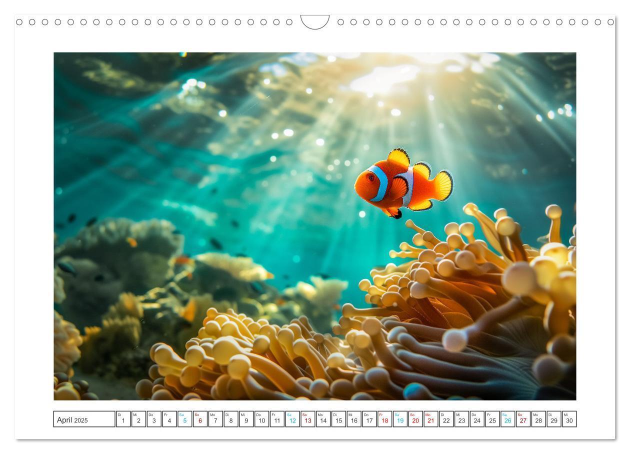 Bild: 9783383784378 | Exotische Fische (Wandkalender 2025 DIN A3 quer), CALVENDO...