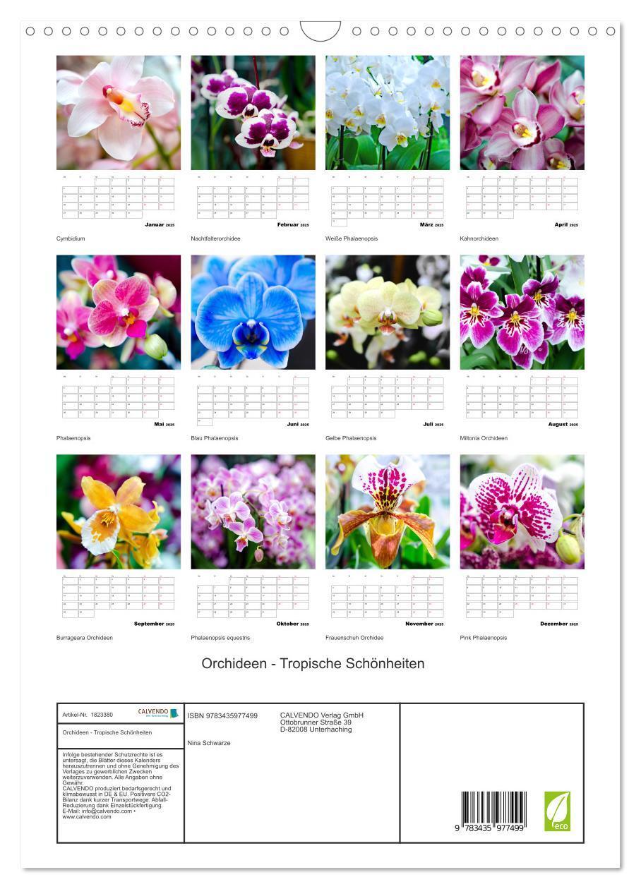 Bild: 9783435977499 | Orchideen - Tropische Schönheiten (Wandkalender 2025 DIN A3 hoch),...