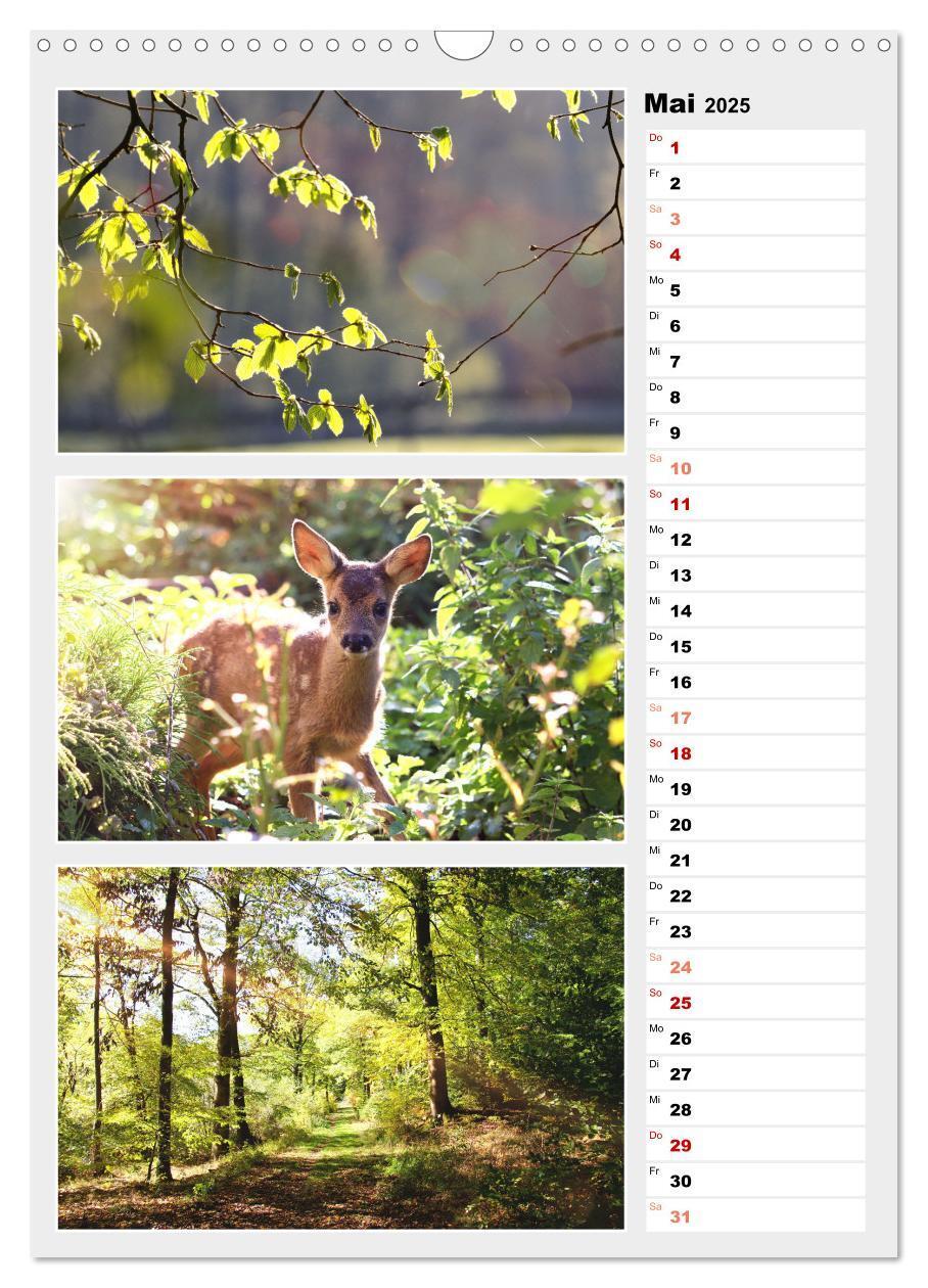 Bild: 9783435889280 | Zauberhafte Farben der Natur (Wandkalender 2025 DIN A3 hoch),...