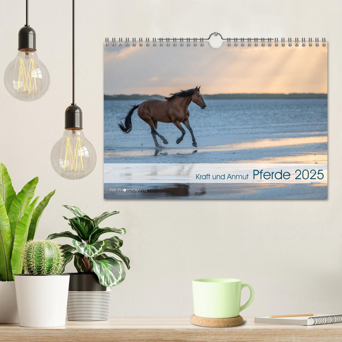 Bild: 9783435105045 | Pferde 2025 Kraft und Anmut (Wandkalender 2025 DIN A4 quer),...