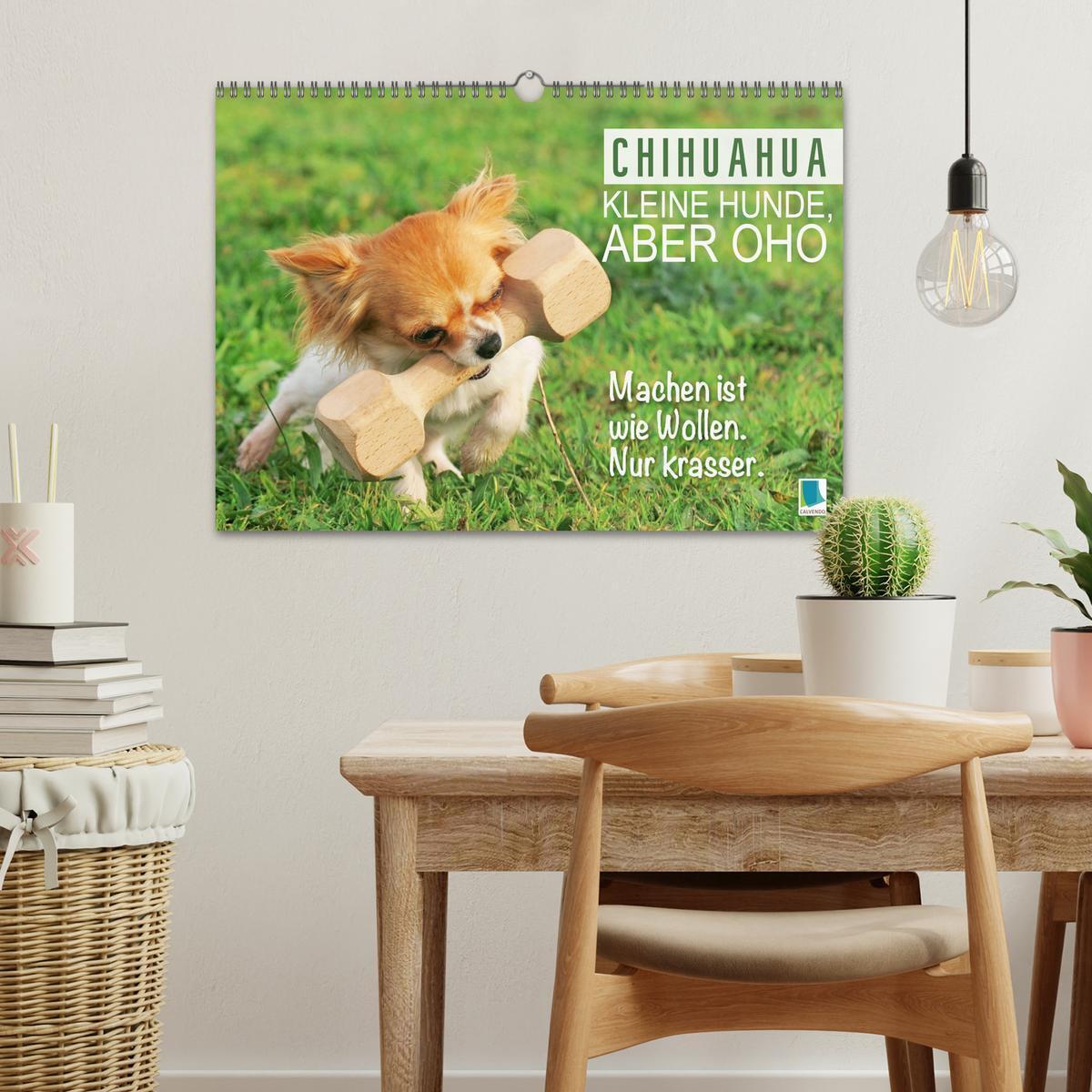 Bild: 9783457199817 | Chihuahua: Kleine Hunde, aber oho (Wandkalender 2025 DIN A3 quer),...