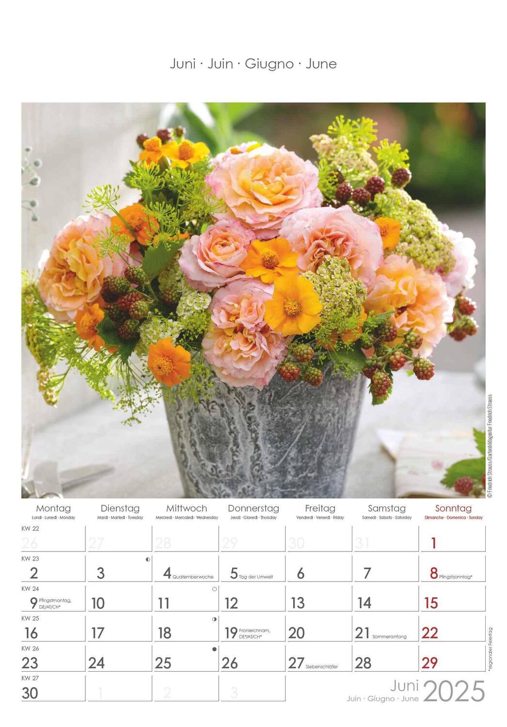 Bild: 4251732340995 | Rosenträume 2025 - Bildkalender 23,7x34 cm - Kalender mit Platz für...