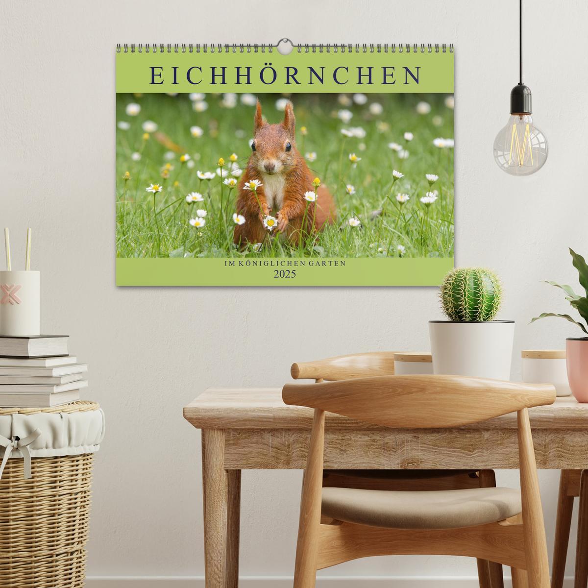 Bild: 9783435669912 | Eichhörnchen im Königlichen Garten (Wandkalender 2025 DIN A3 quer),...