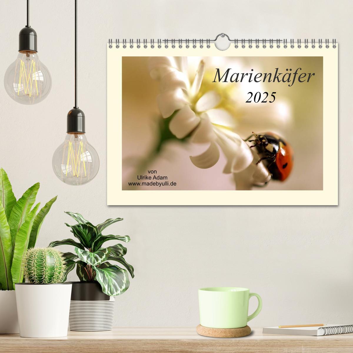 Bild: 9783435733163 | Marienkäfer / 2025 (Wandkalender 2025 DIN A4 quer), CALVENDO...