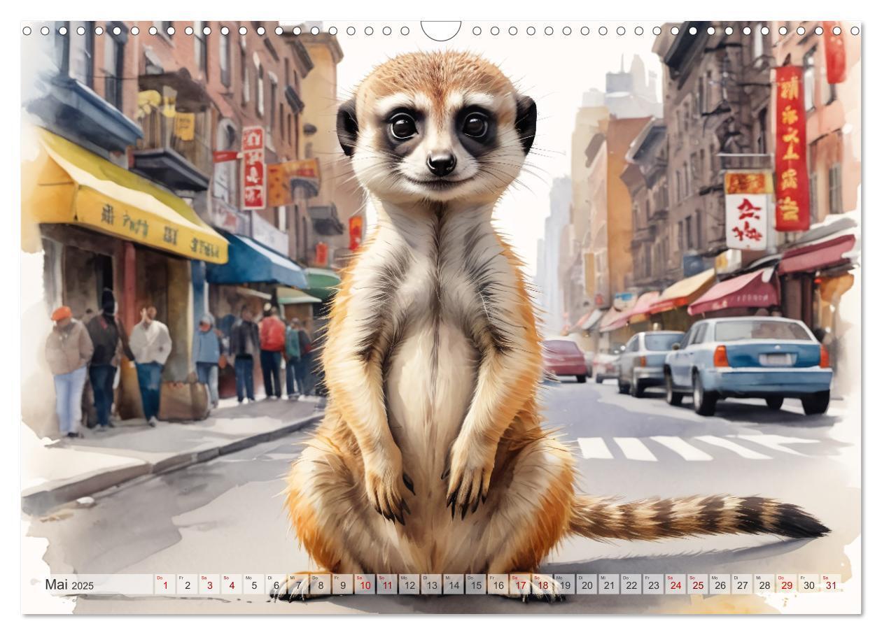 Bild: 9783383797910 | Erdmännchen in New York City (Wandkalender 2025 DIN A3 quer),...