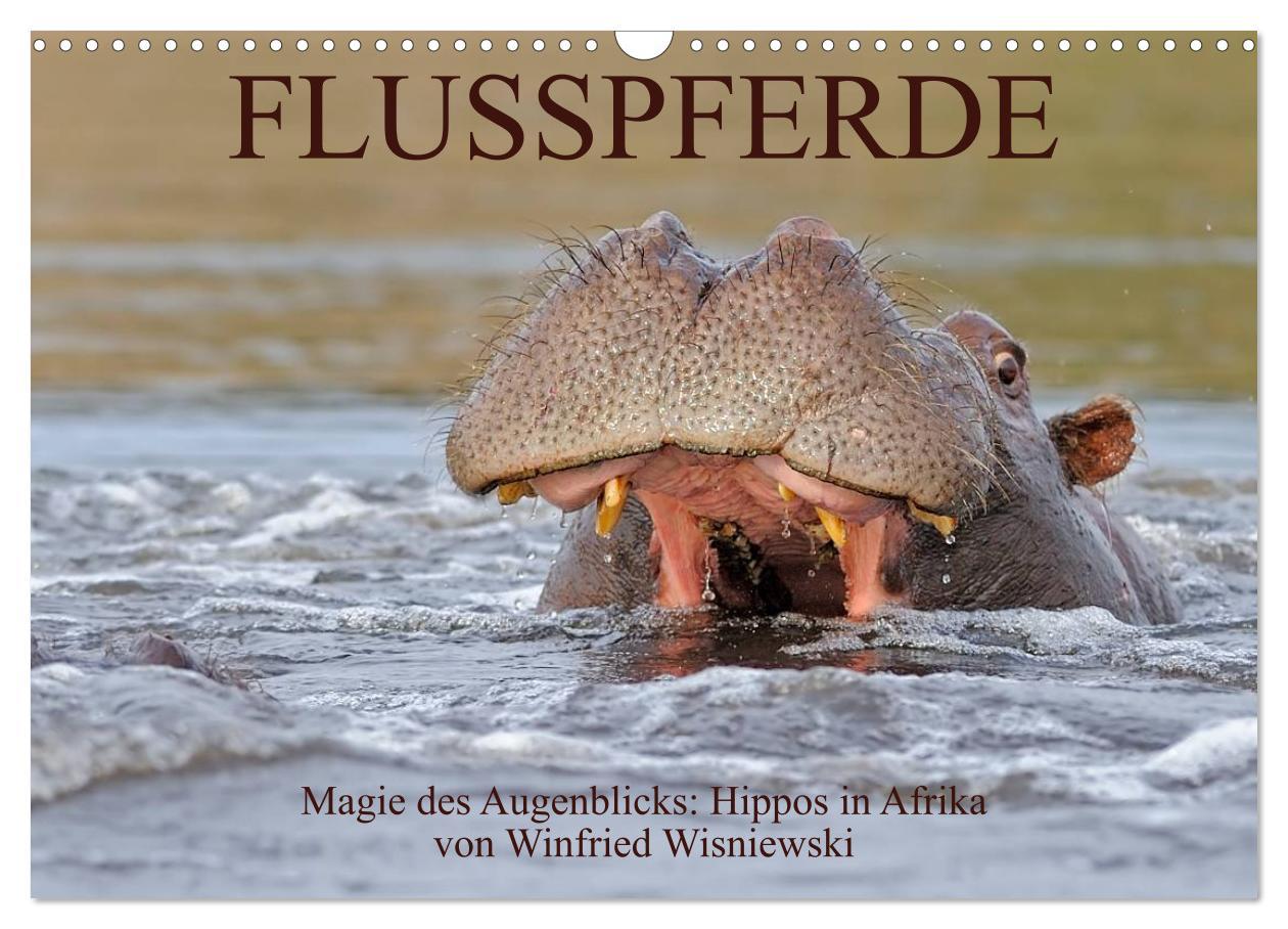 Cover: 9783435760855 | Flusspferde Magie des Augenblicks - Hippos in Afrika (Wandkalender...