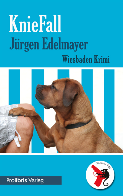 Cover: 9783935263849 | KnieFall | Wiesbaden Krimi, Gnomos Tipp | Jürgen Edelmayer | Buch