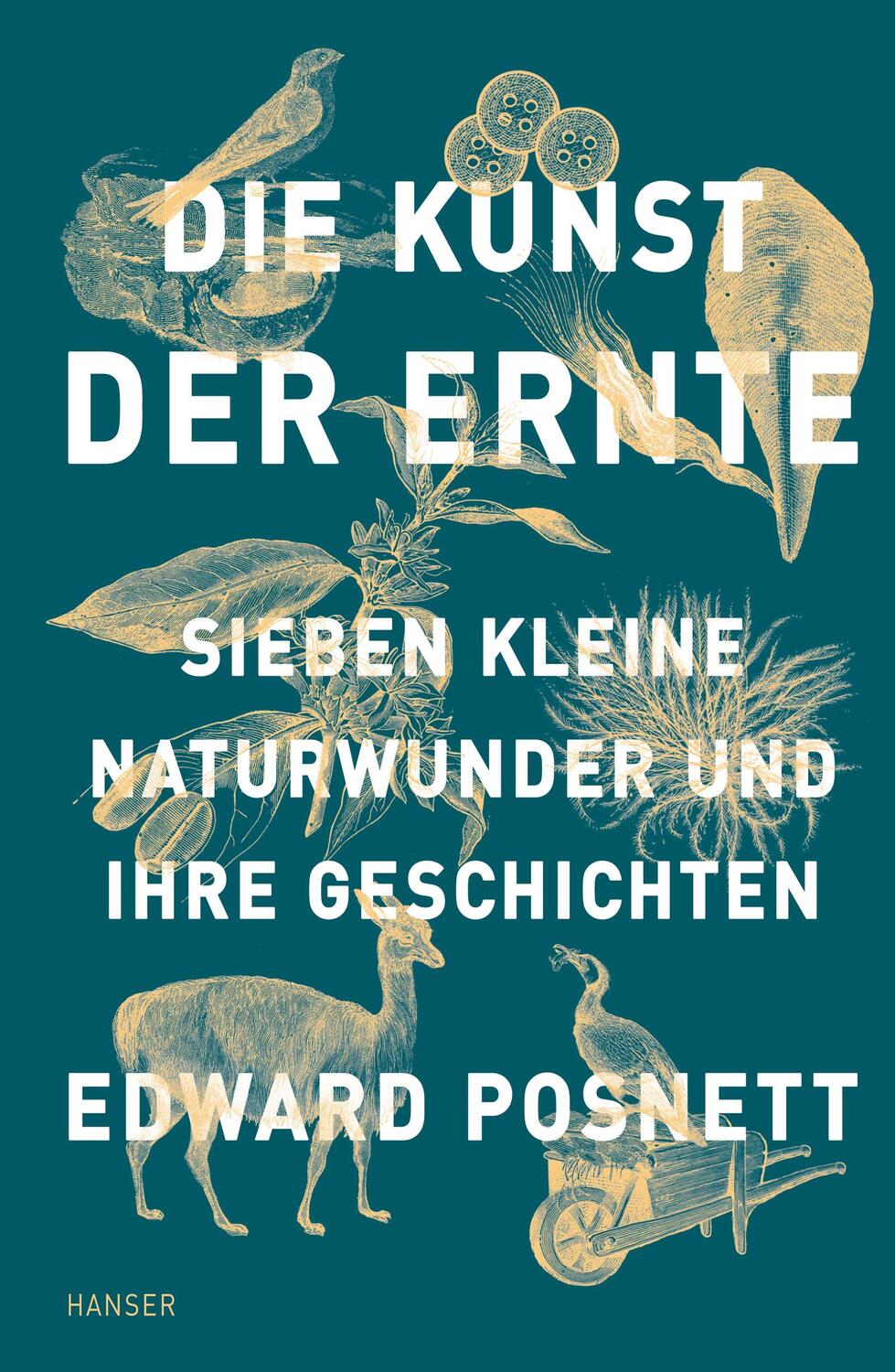 Cover: 9783446265813 | Die Kunst der Ernte | Sieben kleine Naturwunder und ihre Geschichten