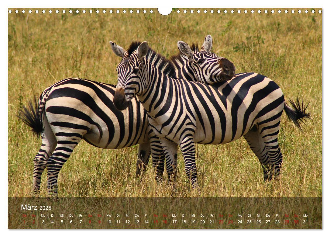 Bild: 9783435093427 | Ostafrika - Tansania und Kenia hautnah (Wandkalender 2025 DIN A3...