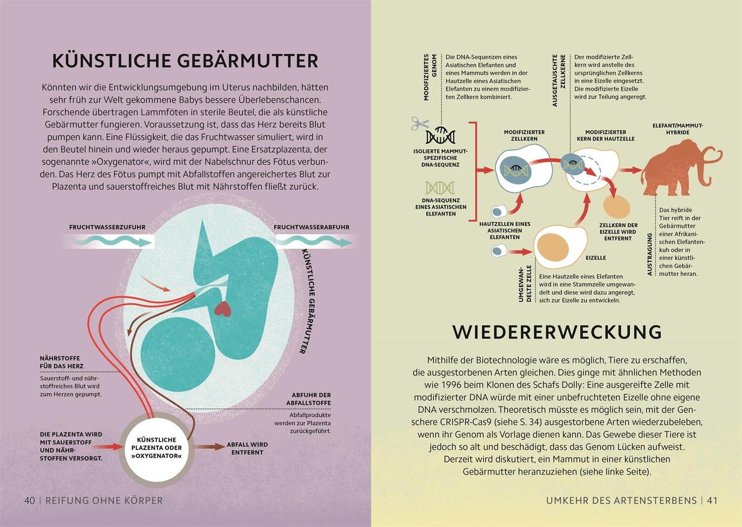 Bild: 9783831049882 | SIMPLY. Zukunftstechnologien | Hilary Lamb (u. a.) | Buch | 160 S.