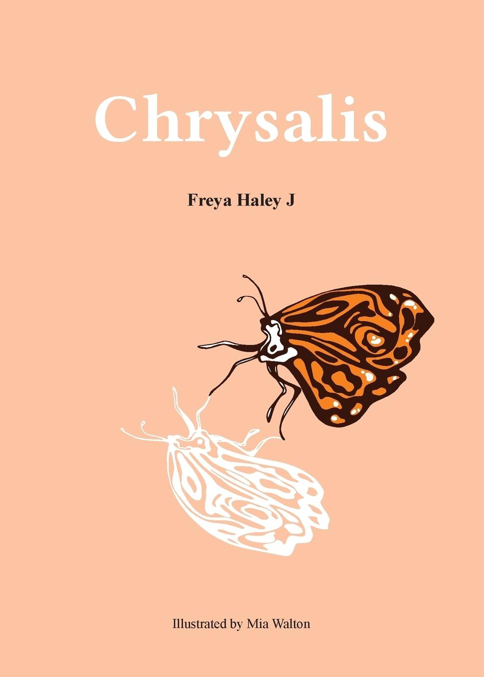 Cover: 9780646997841 | Chrysalis | Freya Haley Johnson | Taschenbuch | Englisch | 2019