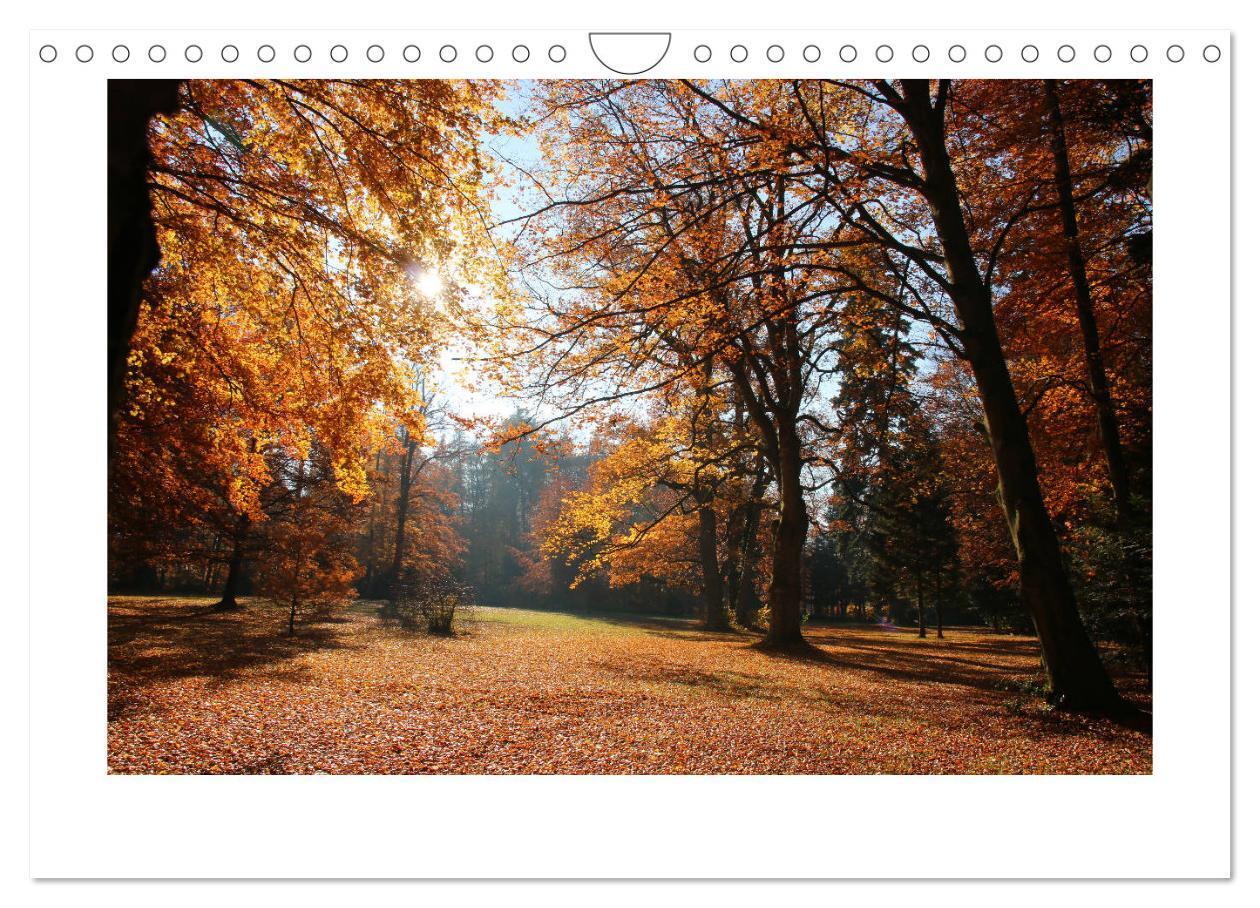 Bild: 9783435405565 | Zauberhafte Landschaften im Odenwald (Wandkalender 2025 DIN A4...