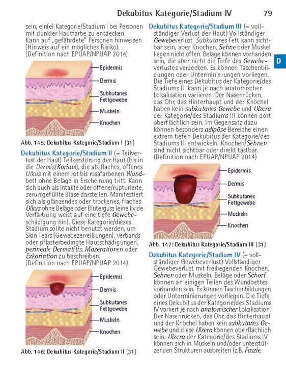 Bild: 9783898628426 | Wörterbuch Pflege pocket : Medizinischer Grundwortschatz und...