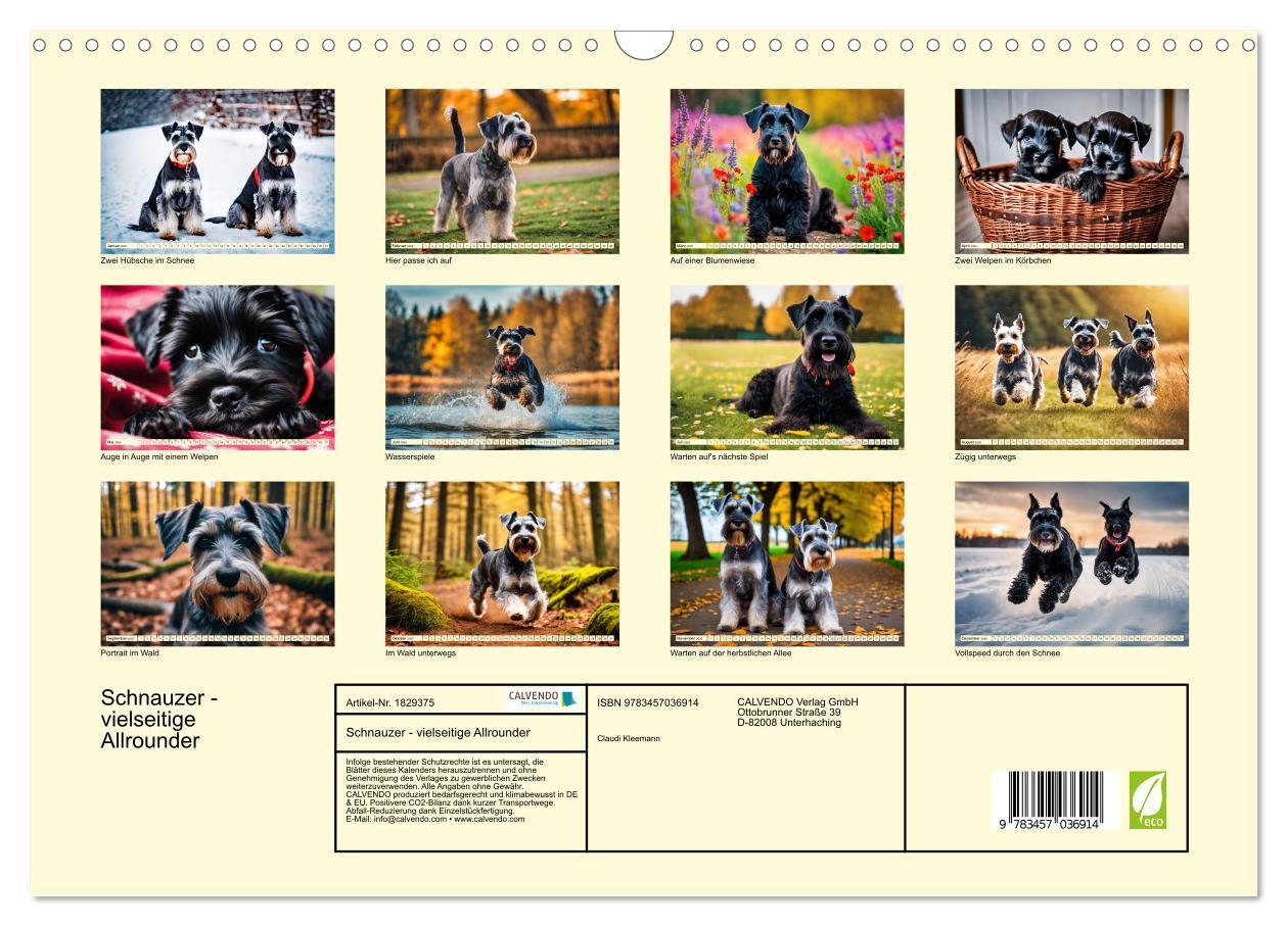 Bild: 9783457036914 | Schnauzer - vielseitige Allrounder (Wandkalender 2025 DIN A3 quer),...