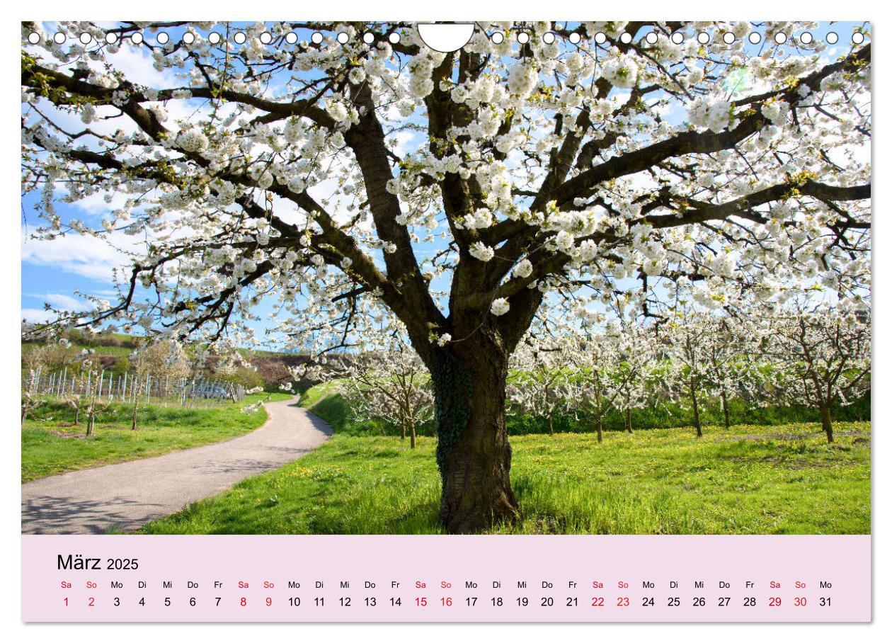 Bild: 9783383794322 | Augenblicke im Kaiserstuhl (Wandkalender 2025 DIN A4 quer),...