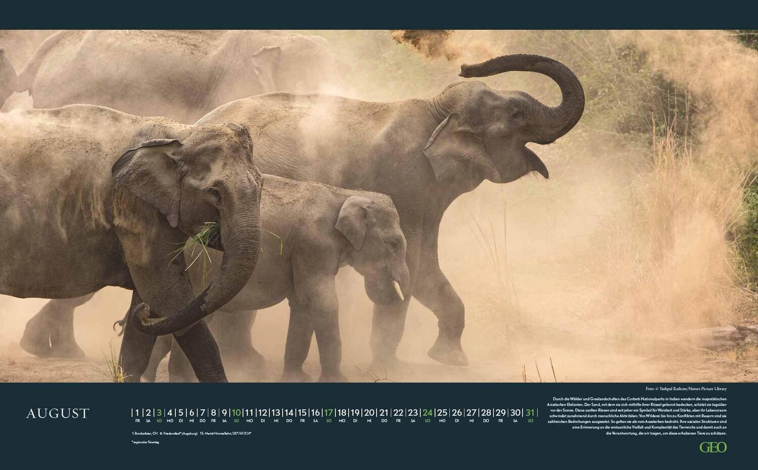 Bild: 4002725988645 | GEO Bedrohte Tierwelt 2025 - Wand-Kalender - Tier-Kalender -...