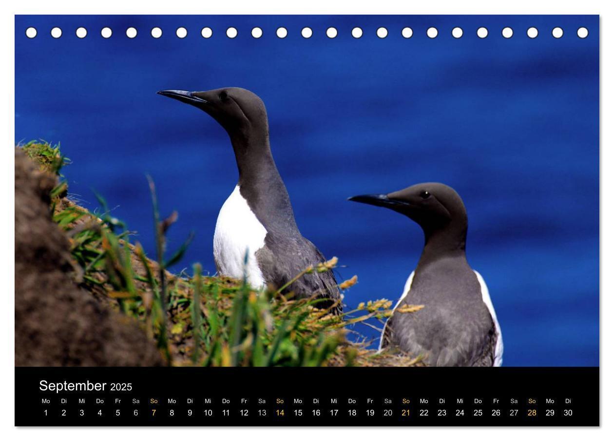 Bild: 9783435577507 | Wales Pembrokeshire - Natur im Fokus- (Tischkalender 2025 DIN A5...