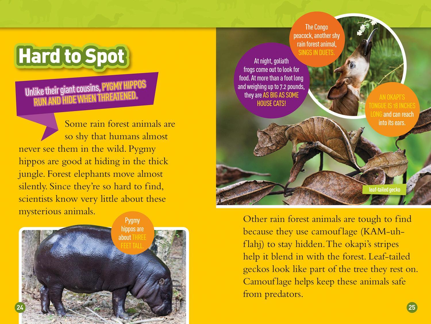 Bild: 9781426332418 | National Geographic Kids Readers: Roar! 100 Fun Facts About African...