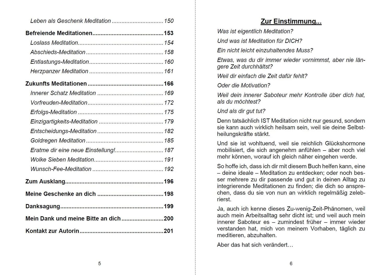 Bild: 9783967381993 | Meditation, heilsames Abenteuer für Körper, Geist und Seele | Haintz