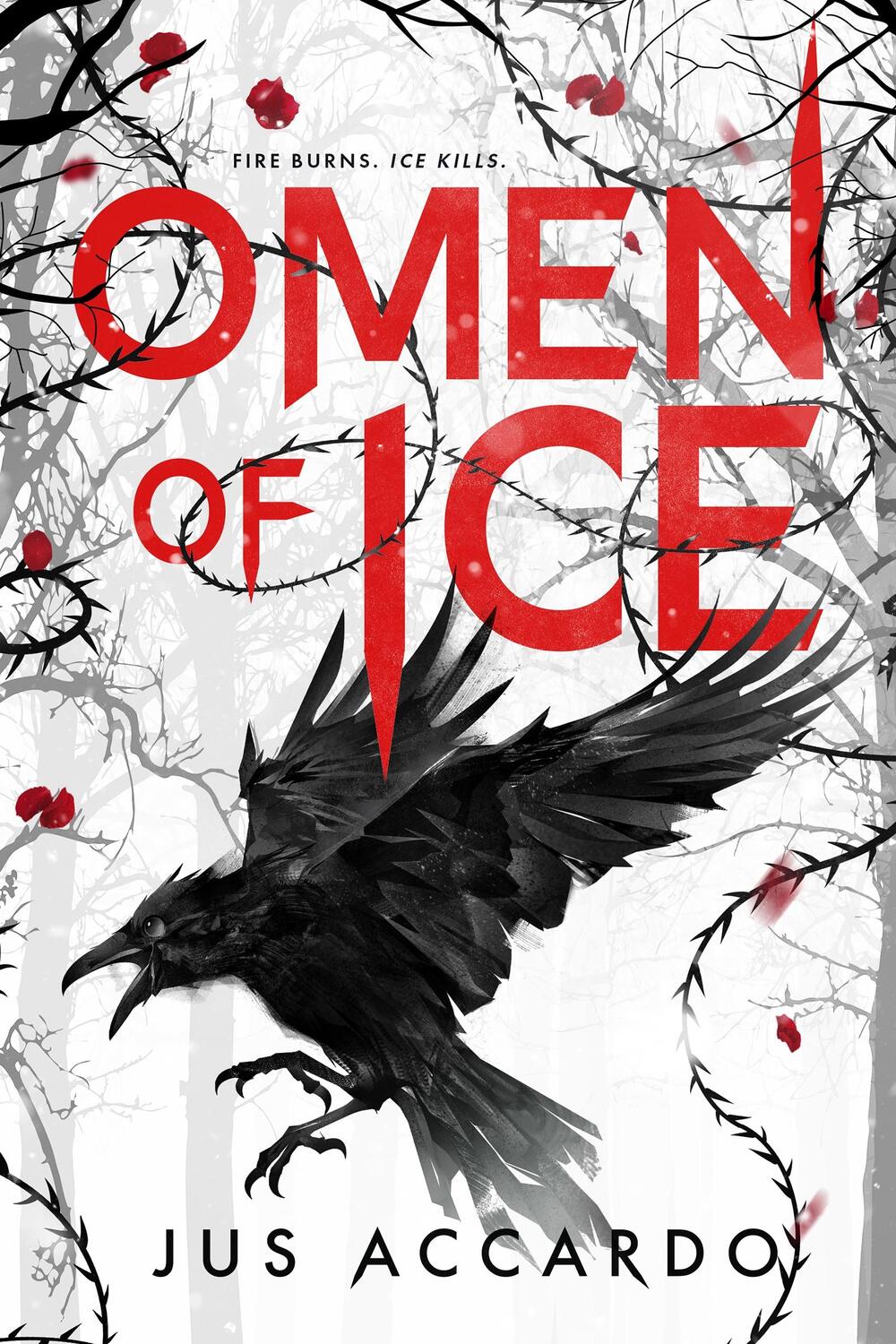 Cover: 9781649374028 | Omen of Ice | Jus Accardo | Buch | Gebunden | Englisch | 2023