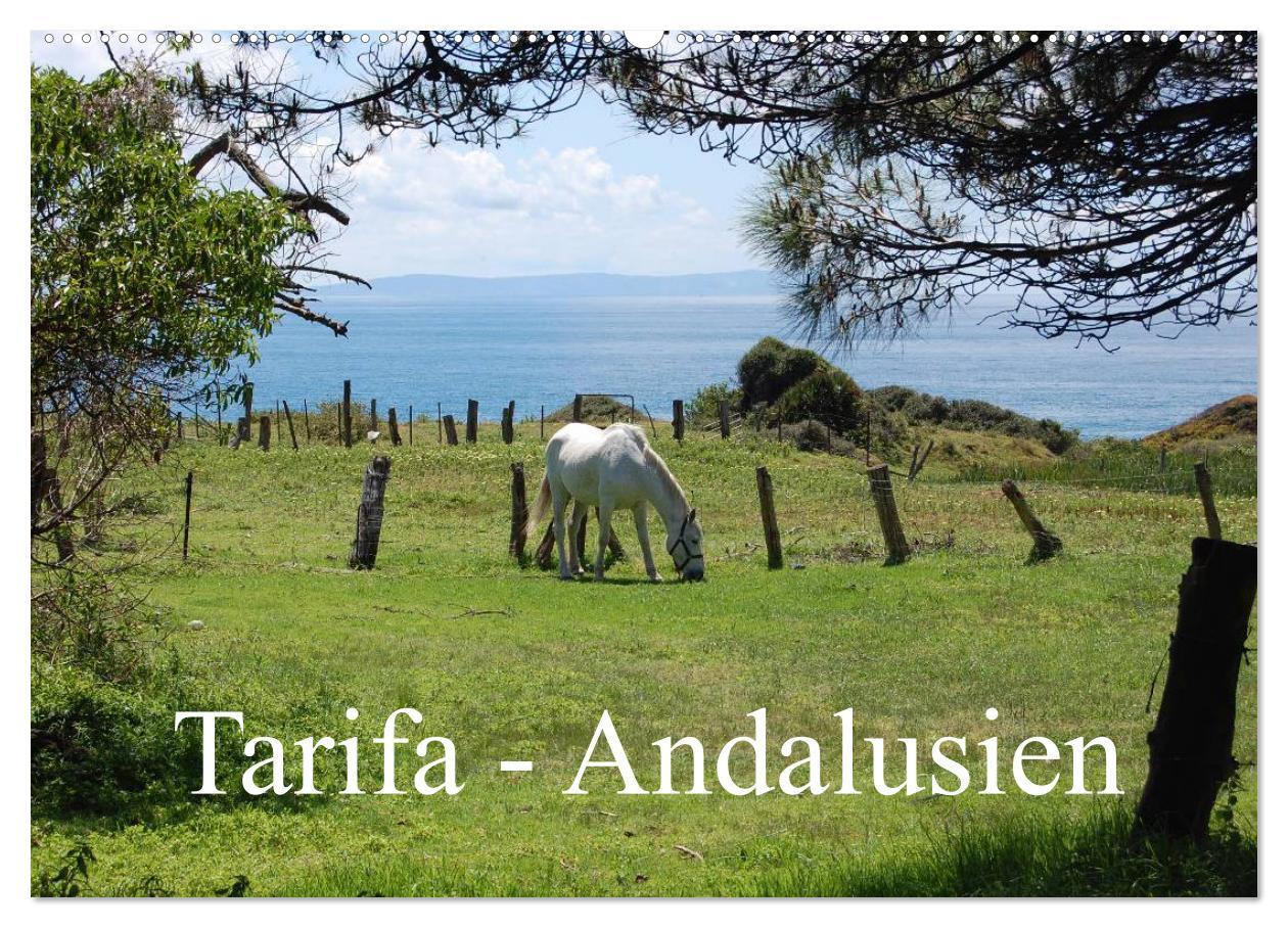 Cover: 9783435707621 | Tarifa - Andalusien (Wandkalender 2025 DIN A2 quer), CALVENDO...