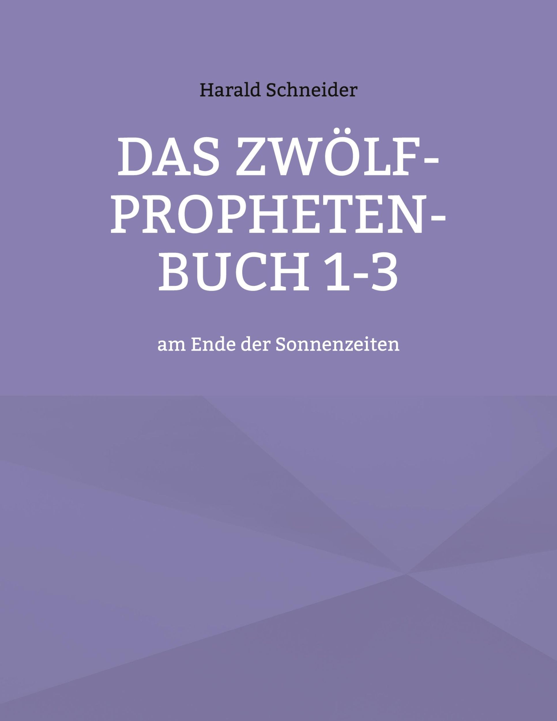 Cover: 9783755752837 | Das Zwölf-Propheten-Buch 1-3 | am Ende der Sonnenzeiten | Schneider