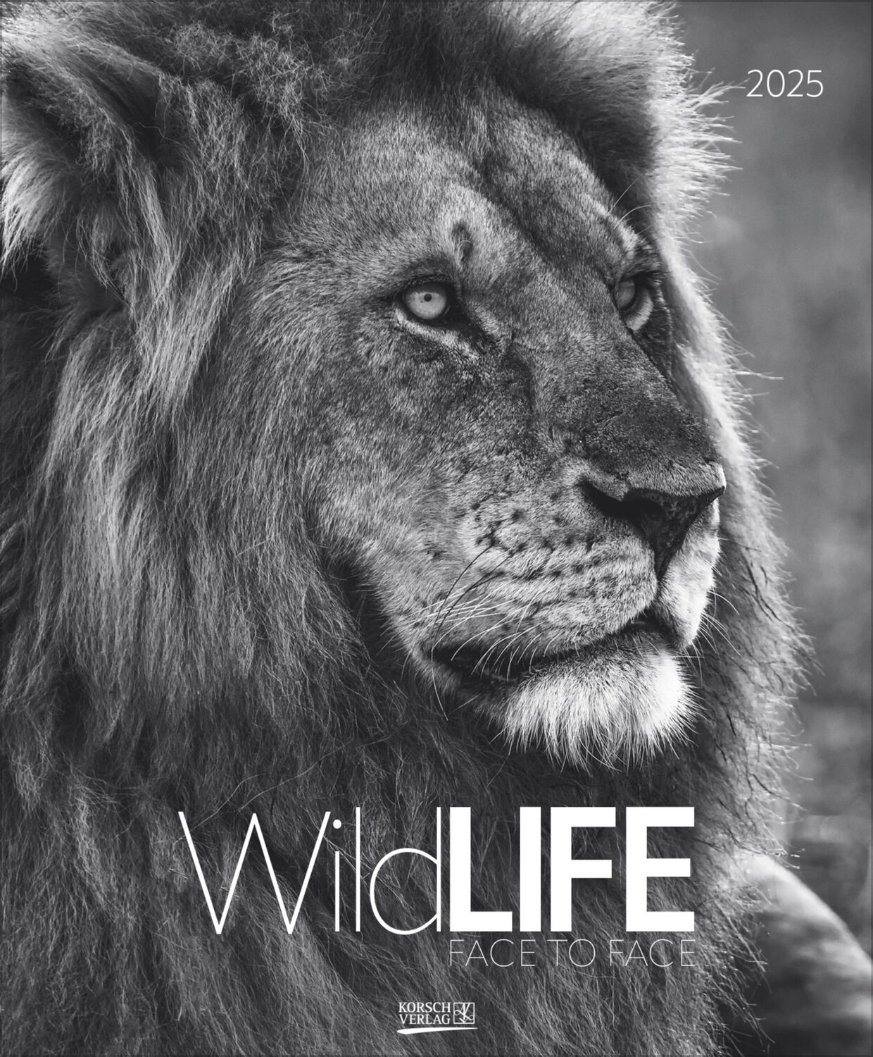 Cover: 9783731880011 | WildLife 2025 | Korsch Verlag | Kalender | 14 S. | Deutsch | 2025