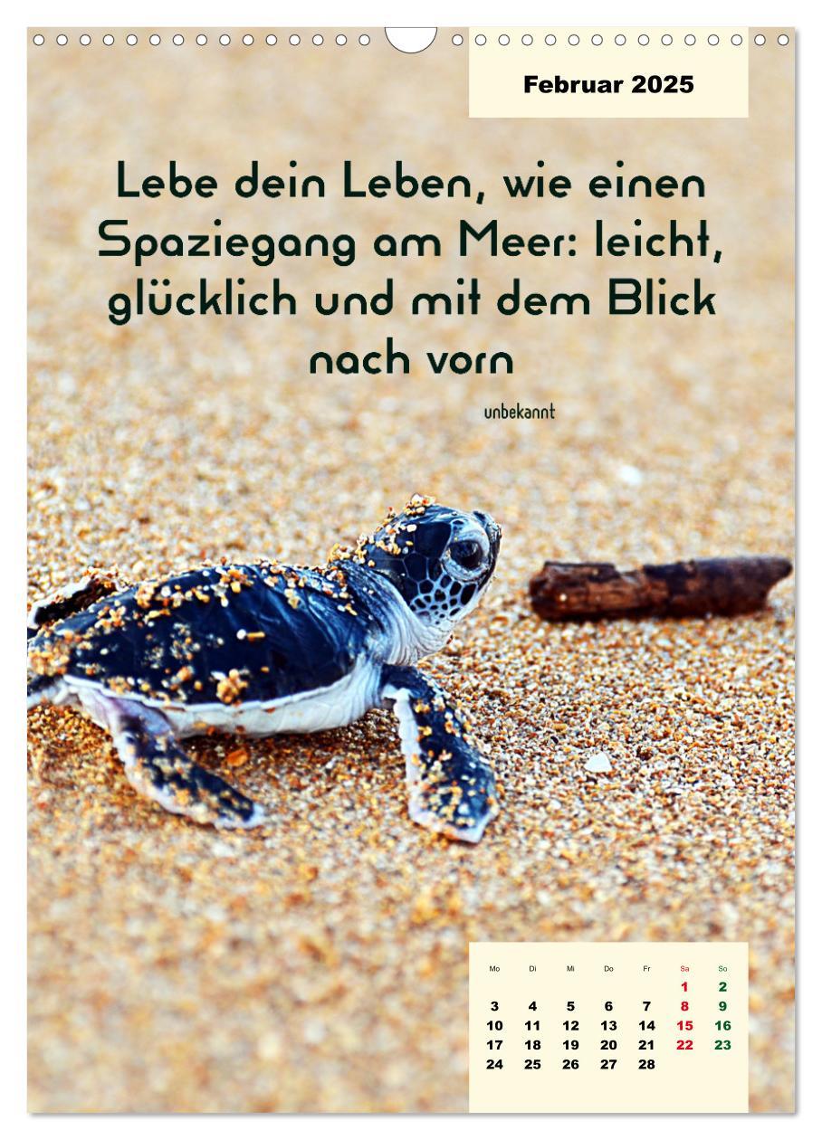 Bild: 9783435882007 | Verrückt nach MEER - Wellen - Strand - Zitate (Wandkalender 2025...