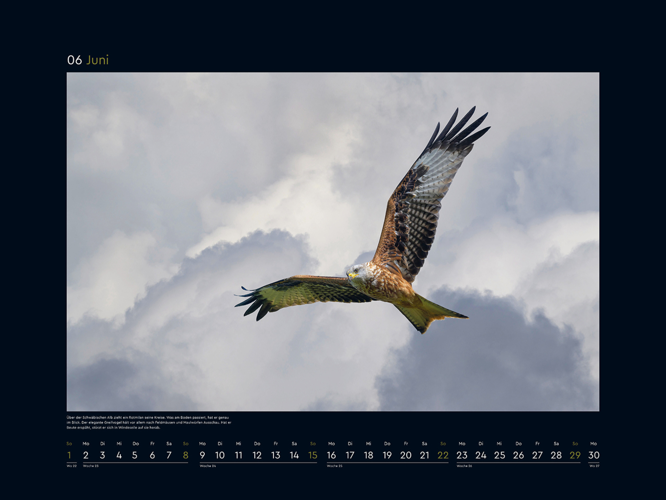 Bild: 9783965913561 | Wildnis Deutschland - KUNTH Wandkalender 2025 | Kalender | 14 S.