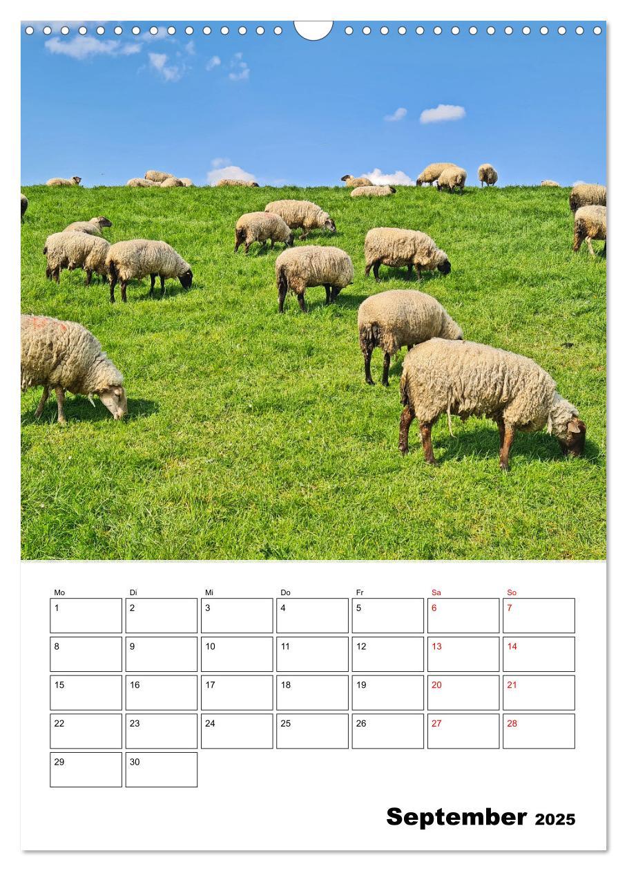 Bild: 9783435901265 | Frühling im Alten Land - Baumblütenzeit (Wandkalender 2025 DIN A3...