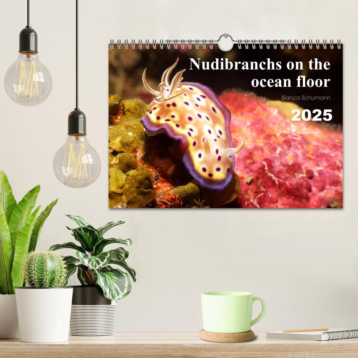 Bild: 9781325940516 | Nudibranchs on the ocean floor (Wall Calendar 2025 DIN A4...