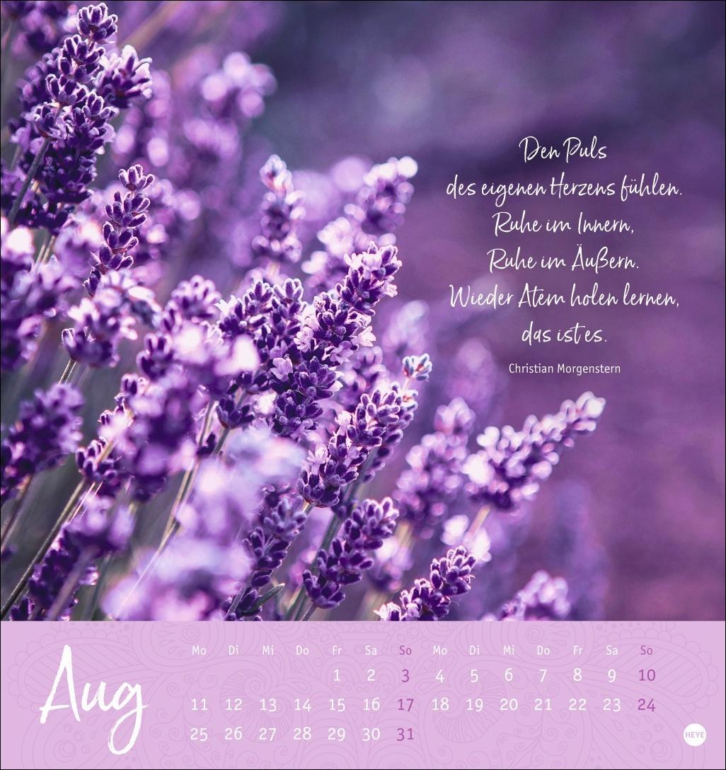 Bild: 9783756406944 | Stille Momente Postkartenkalender 2025 | Heye | Kalender | 13 S.