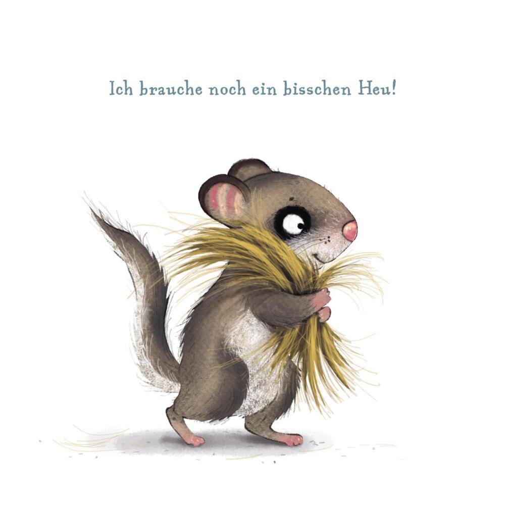 Bild: 9783522458917 | Der kleine Siebenschläfer - Das ist noch nicht gemütlich! | Buch