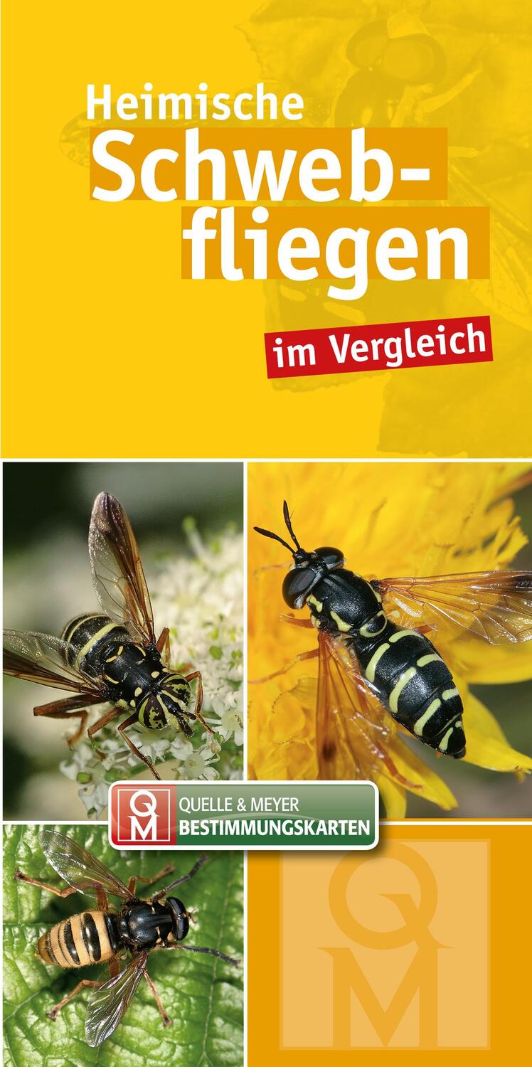 Cover: 9783494017860 | Heimische Schwebfliegen im Vergleich | 10er-Set | Verlag | Stück