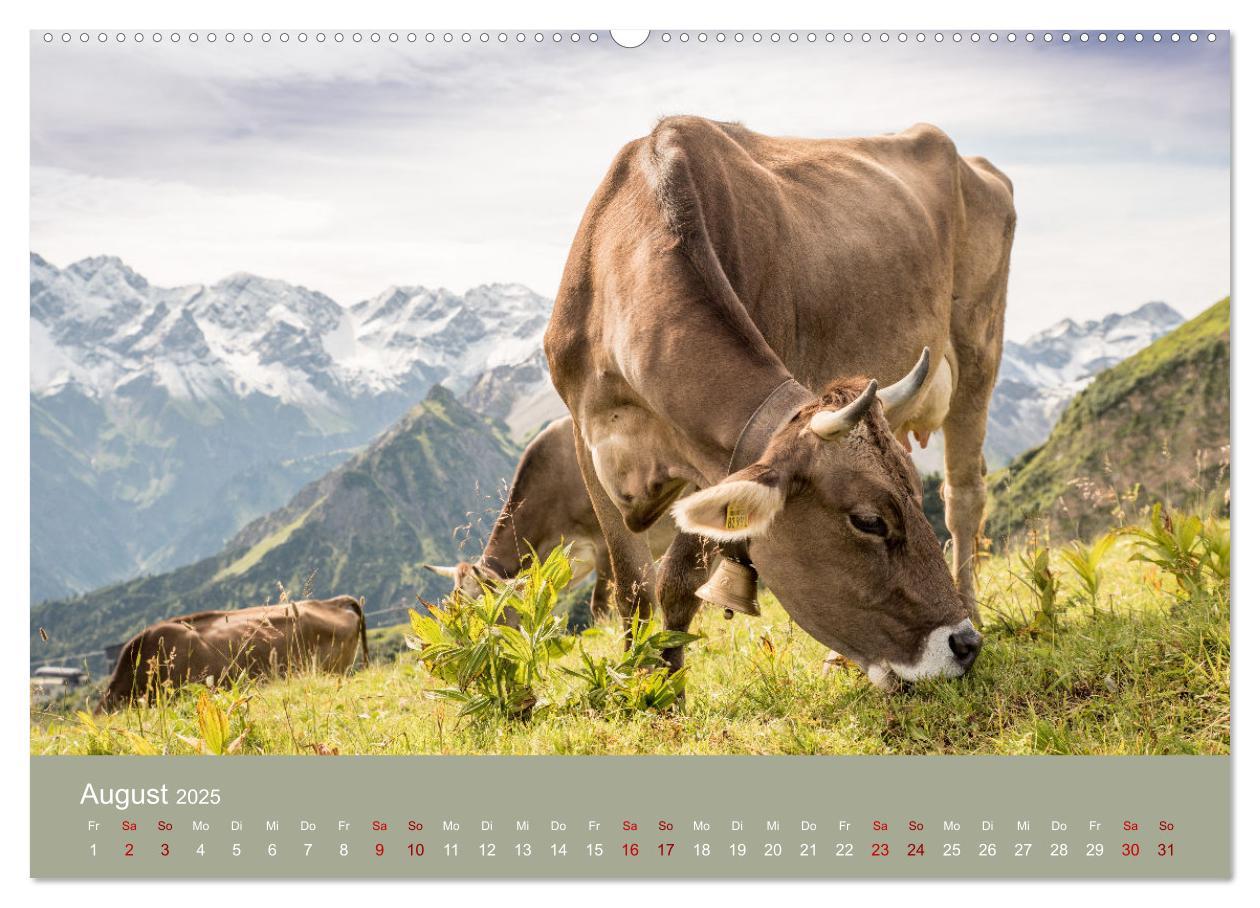 Bild: 9783383966354 | Heimweh Allgäu 2025 (Wandkalender 2025 DIN A2 quer), CALVENDO...