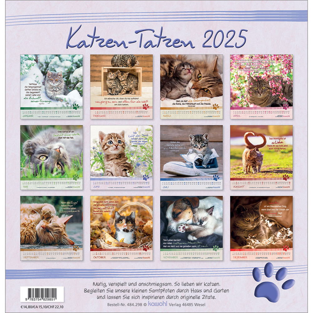 Bild: 9783754829851 | Kleine Katzen-Tatzen 2025 | Kalender | Spiralbindung. Spiralbindung