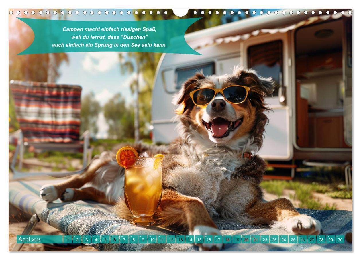 Bild: 9783457181775 | Der tierisch lustige Camping-Kalender (Wandkalender 2025 DIN A3...