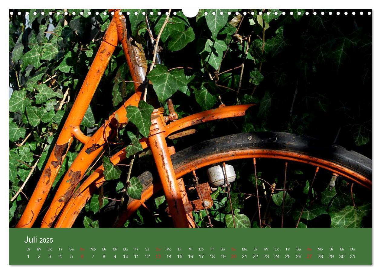 Bild: 9783435810291 | Alte Fahrradklassiker 2025 (Wandkalender 2025 DIN A3 quer),...