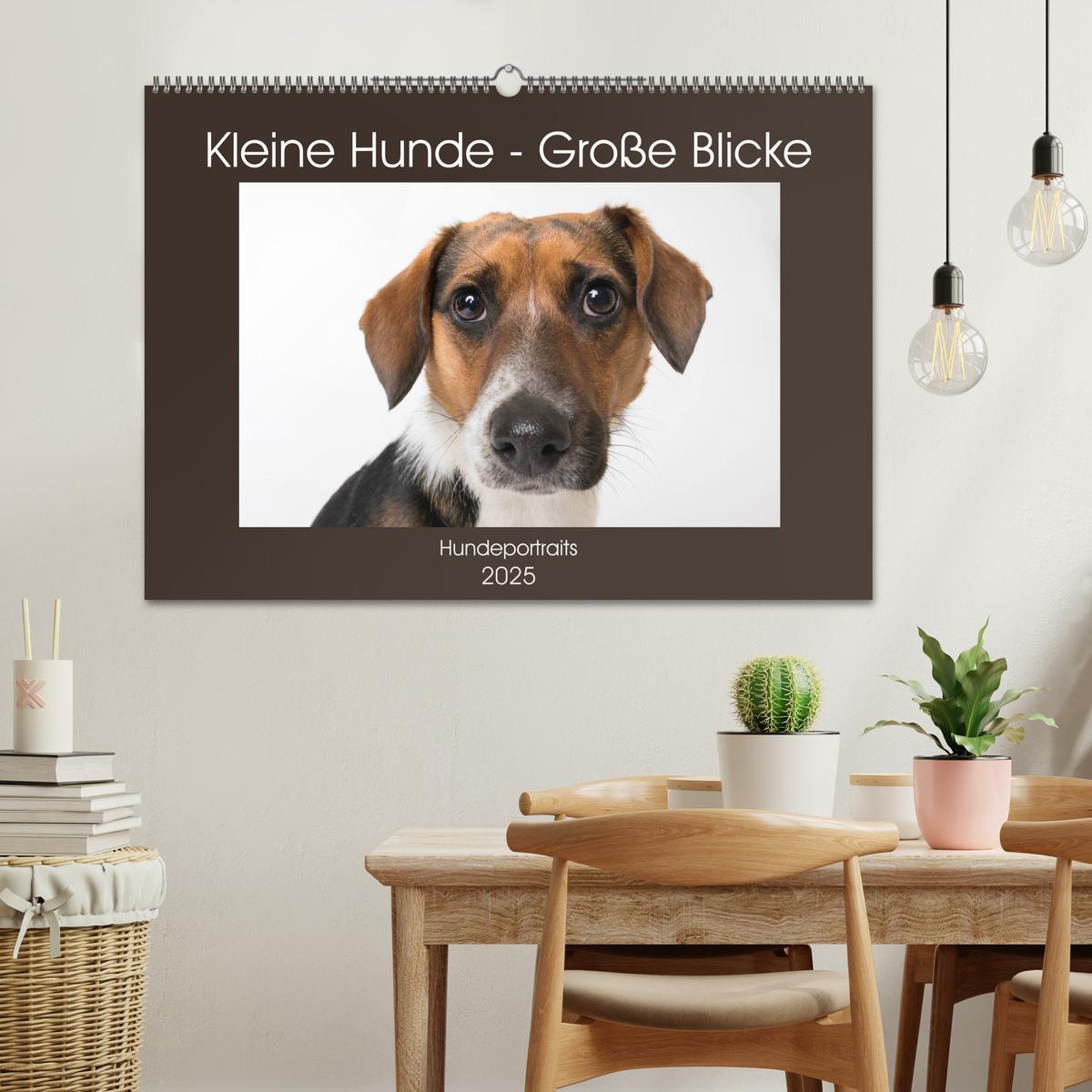 Bild: 9783435254255 | Kleine Hunde - Große Blicke (Wandkalender 2025 DIN A2 quer),...