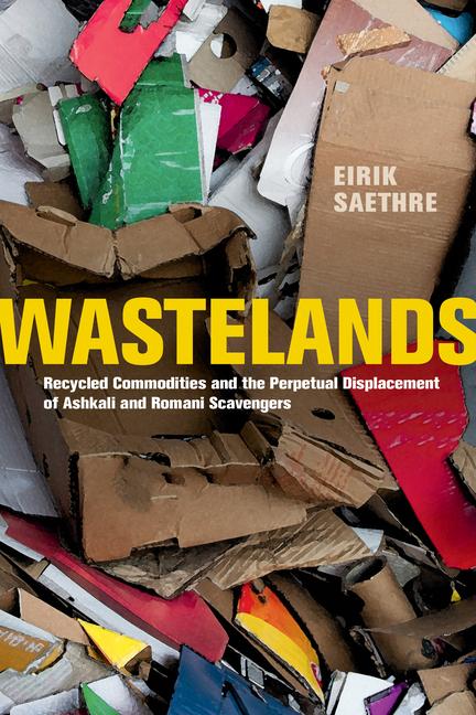 Cover: 9780520368514 | Wastelands | Eirik Saethre | Taschenbuch | Kartoniert / Broschiert