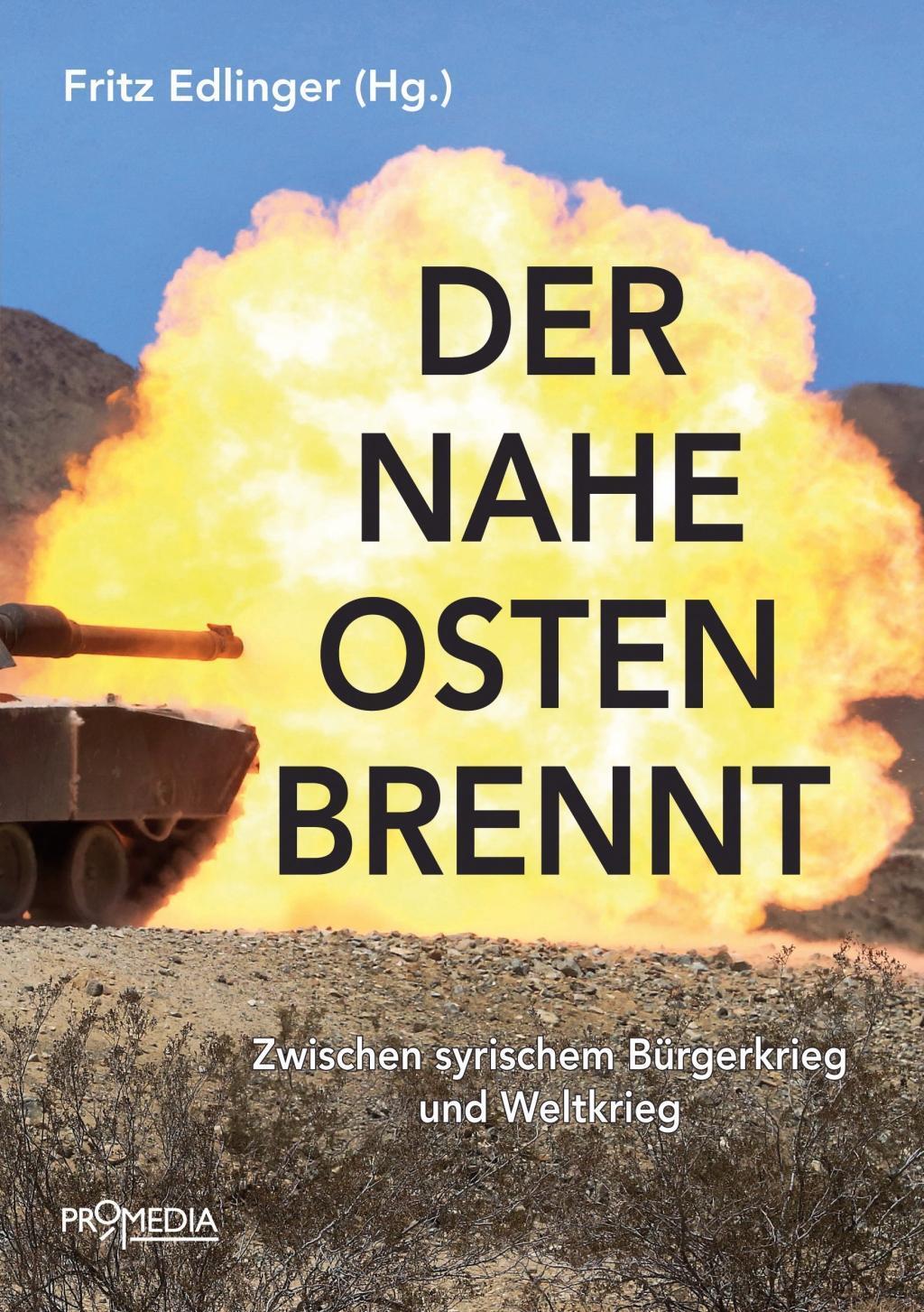 Cover: 9783853714102 | Der Nahe Osten brennt | Zwischen syrischem Bürgerkrieg und Weltkrieg