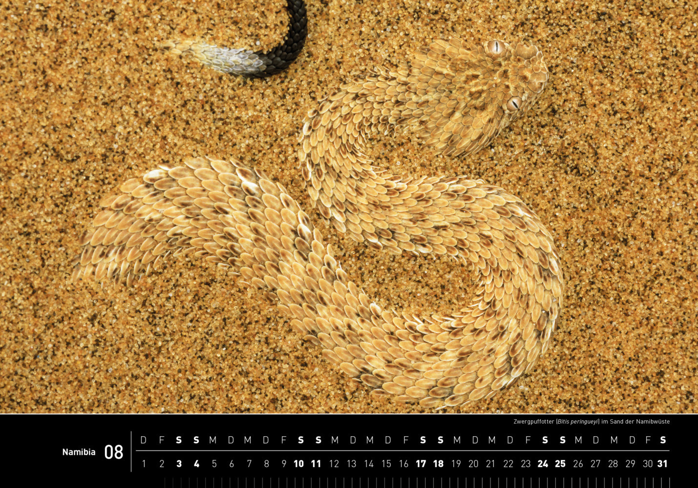 Bild: 9783968553481 | 360° Namibia Premiumkalender 2024 | Thomas Dreßler | Kalender | 2024