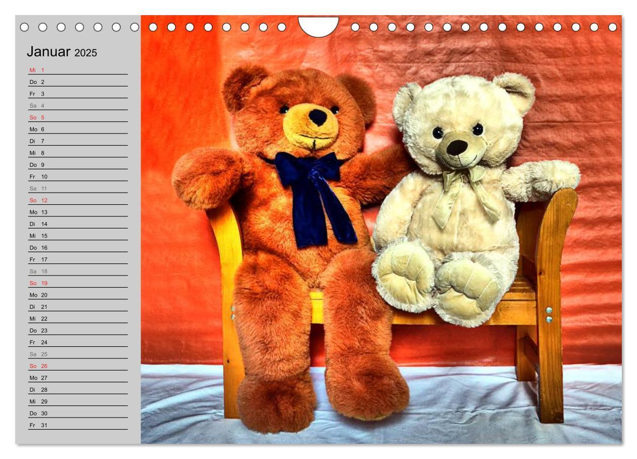 Bild: 9783435496068 | TEDDYBÄR, OH TEDDYBÄR... (Wandkalender 2025 DIN A4 quer), CALVENDO...