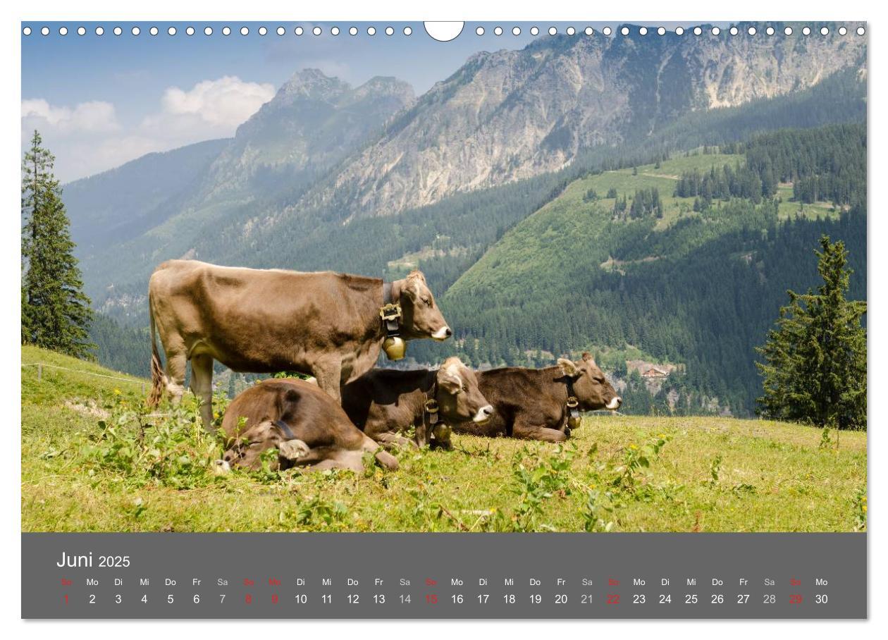 Bild: 9783435728602 | Tannheimer Tal (Wandkalender 2025 DIN A3 quer), CALVENDO...