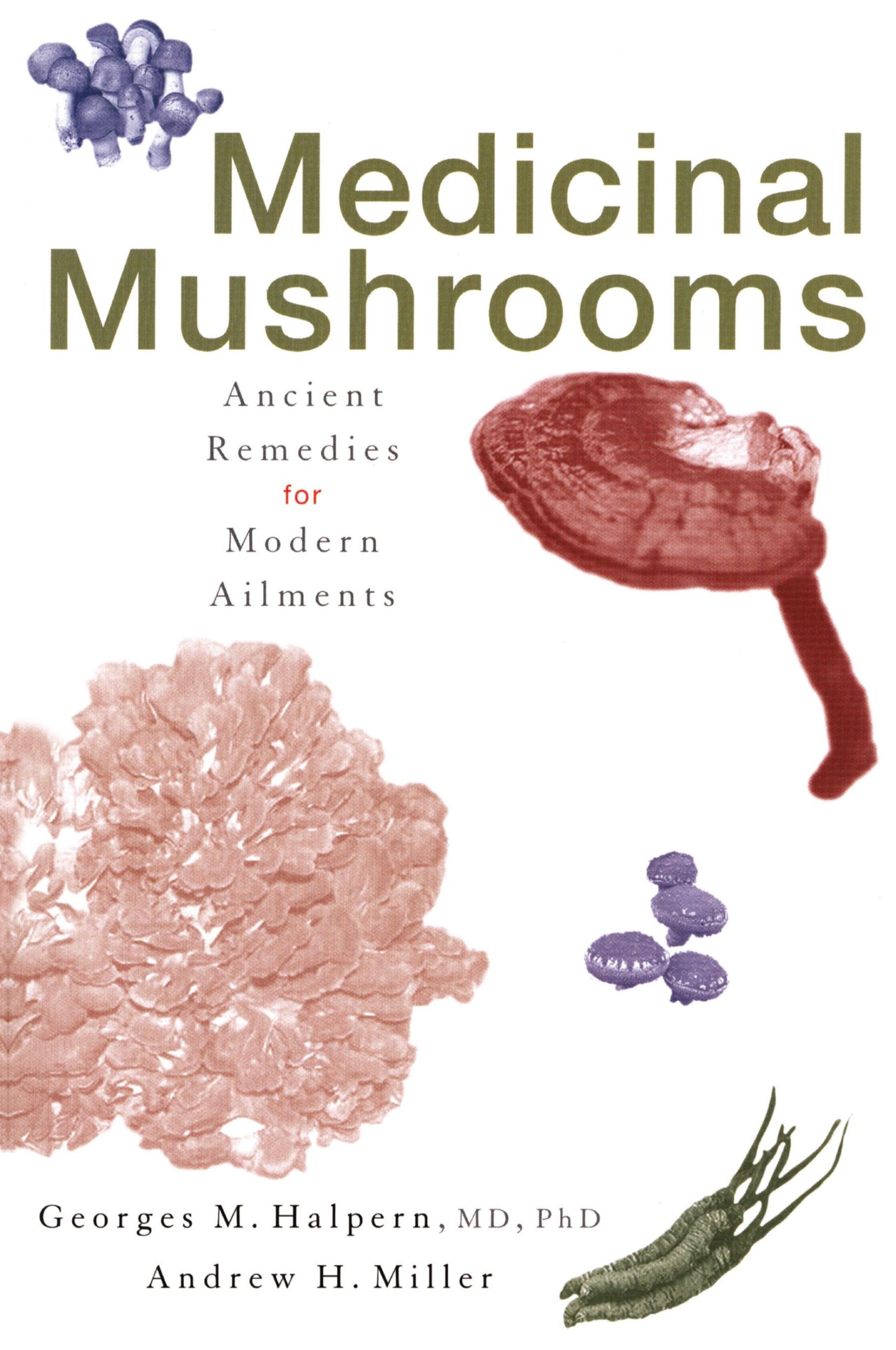 Cover: 9780871319814 | Medicinal Mushrooms | Ancient Remedies for Modern Ailments | Buch