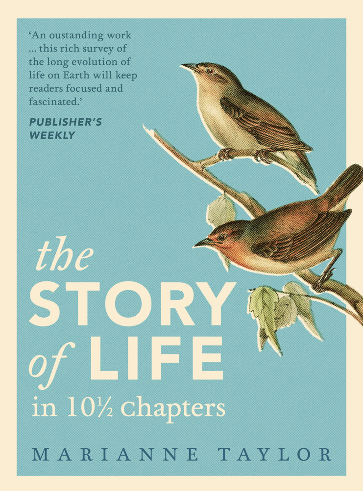 Cover: 9781800249189 | The Story of Life in 10½ Chapters | Marianne Taylor | Buch | Gebunden