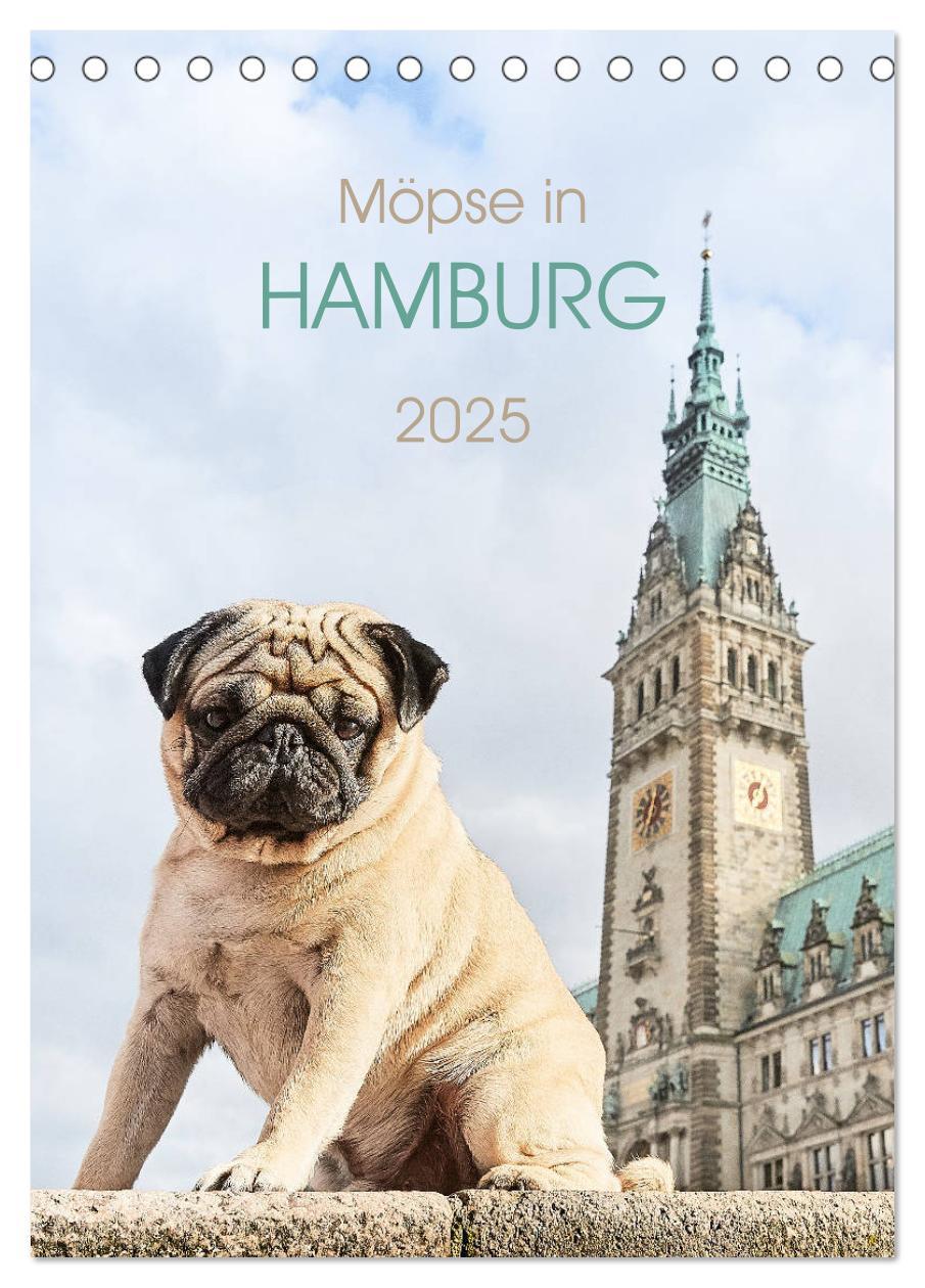 Cover: 9783435985838 | Möpse in Hamburg (Tischkalender 2025 DIN A5 hoch), CALVENDO...