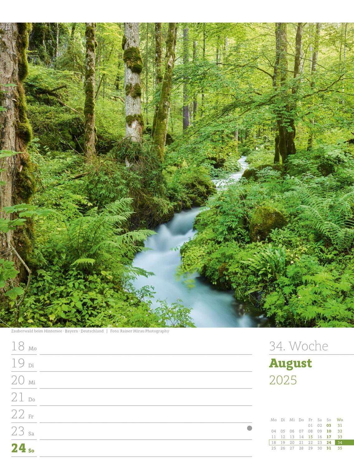 Bild: 9783838425979 | Unser Wald - Wochenplaner Kalender 2025 | Ackermann Kunstverlag | 2025