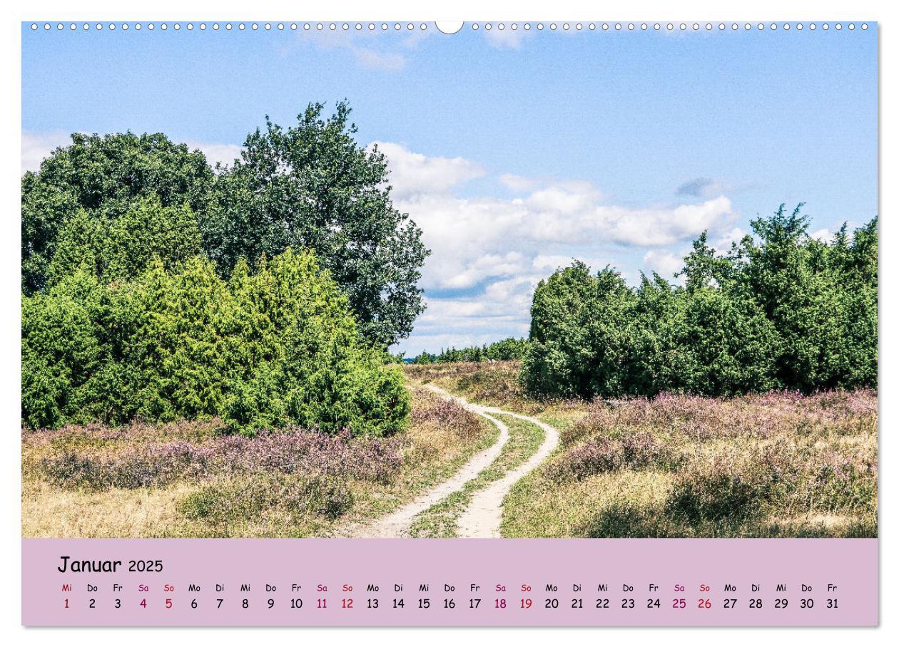 Bild: 9783435024810 | Lüneburger Heide Wege (hochwertiger Premium Wandkalender 2025 DIN...